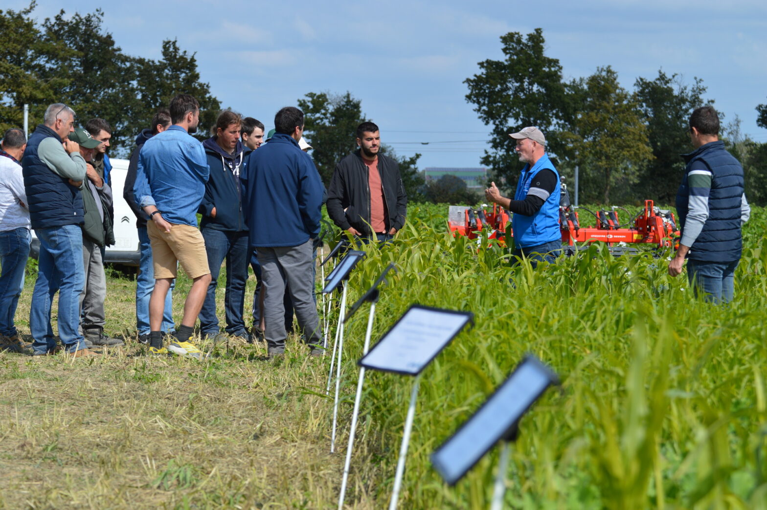 Plus de 100 couverts végétaux ont été réalisés par le Service agronomie Cavac sur 30 ares avec diff érentes espèces pour limiter la prolifération des mauvaises herbes.