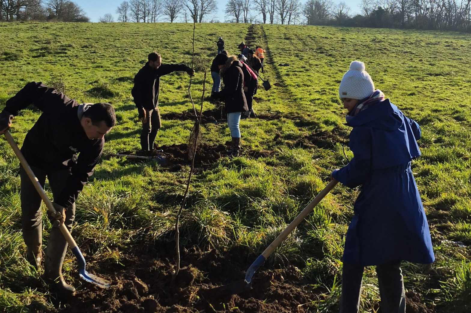 Plantation de 90 noyers au Gaec L'autre chemin à Sainte-Cécile.